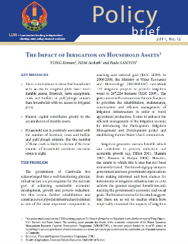 The Impact of Irrigation on Household Assets