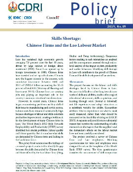 Skills Shortage: Chinese Firms and the Lao Labour Market