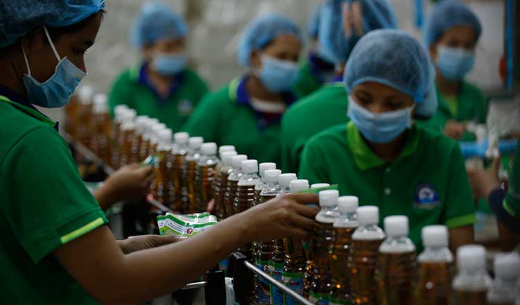 Potential Business in Cambodia