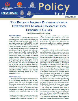 The Role of Income Diversification During the Global Financial and Economic Crisis