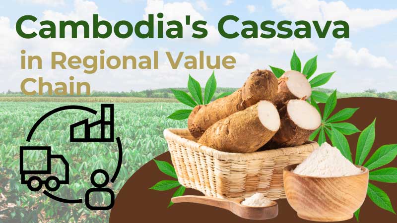 Cambodia’s Cassava in Regional Value Chain
