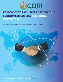 Responses to Facilitate Post-Covid-19 Economic Recovery: A Regional Perspective