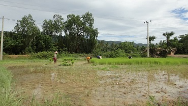 State of Gender Equality and Climate Change in Cambodia