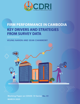 Firm Performance in Cambodia: Key Drivers and Strategies from Survey Data