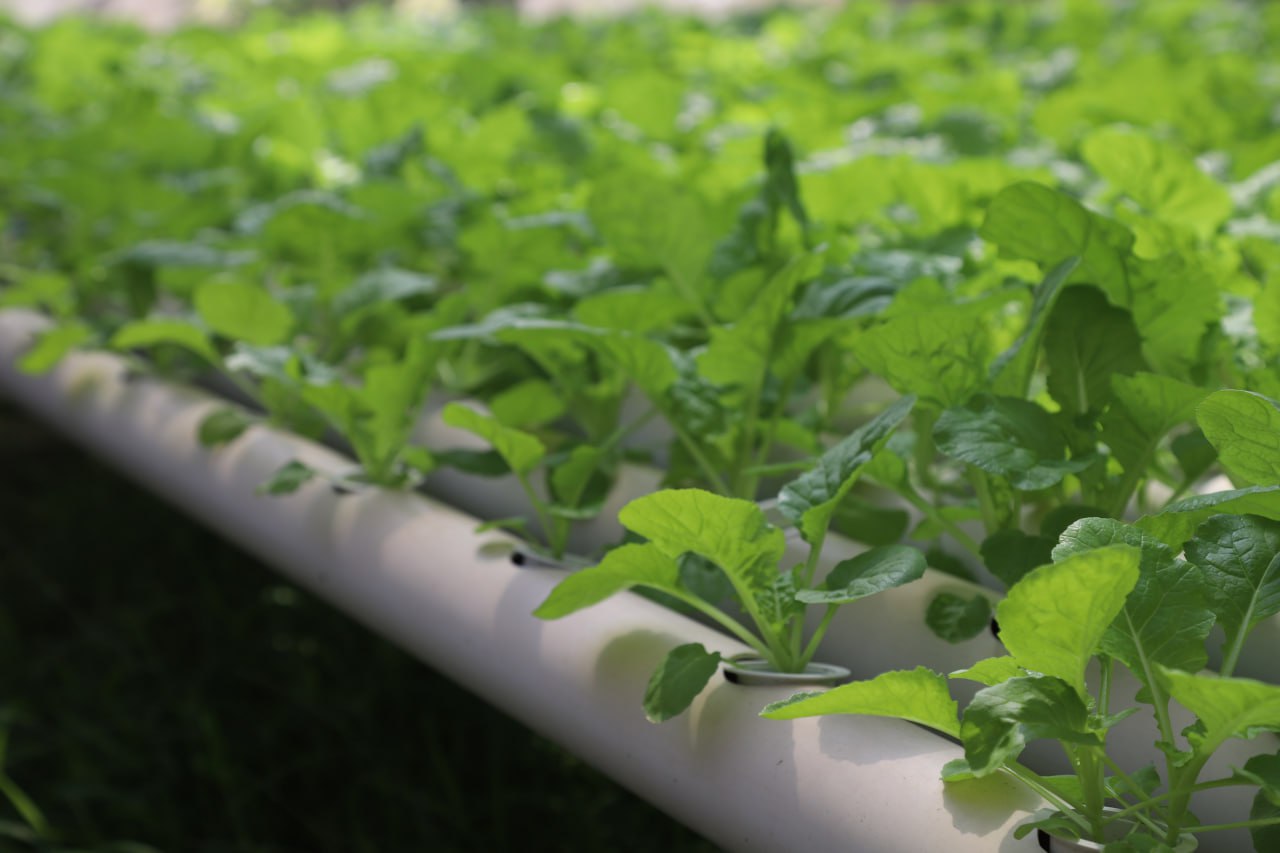 Research on Main Innovation Model in Agriculture And Rural Development