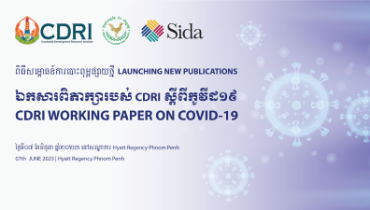 CDRI Working Paper Series on COVID-19