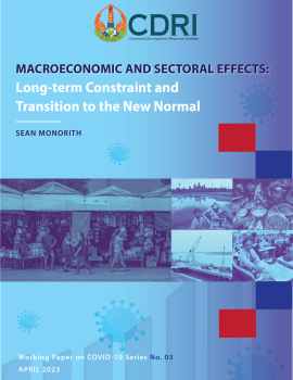 Macroeconomic and Sectoral Effects: Long-term Constraint and Transition to the New Normal