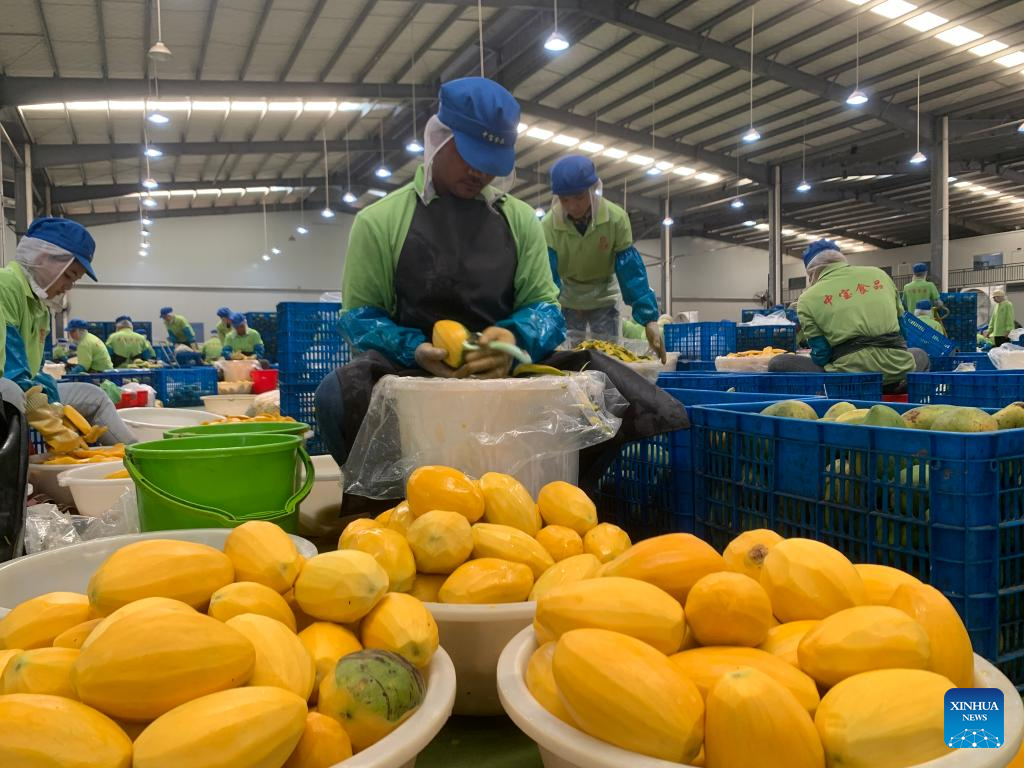 Market Access for Agricultural Commodities from Mekong Sub-region Countries to China: Case of Cambodia