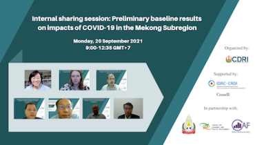 Preliminary Baseline Results on Impacts of COVID-19 in the Mekong Subregion